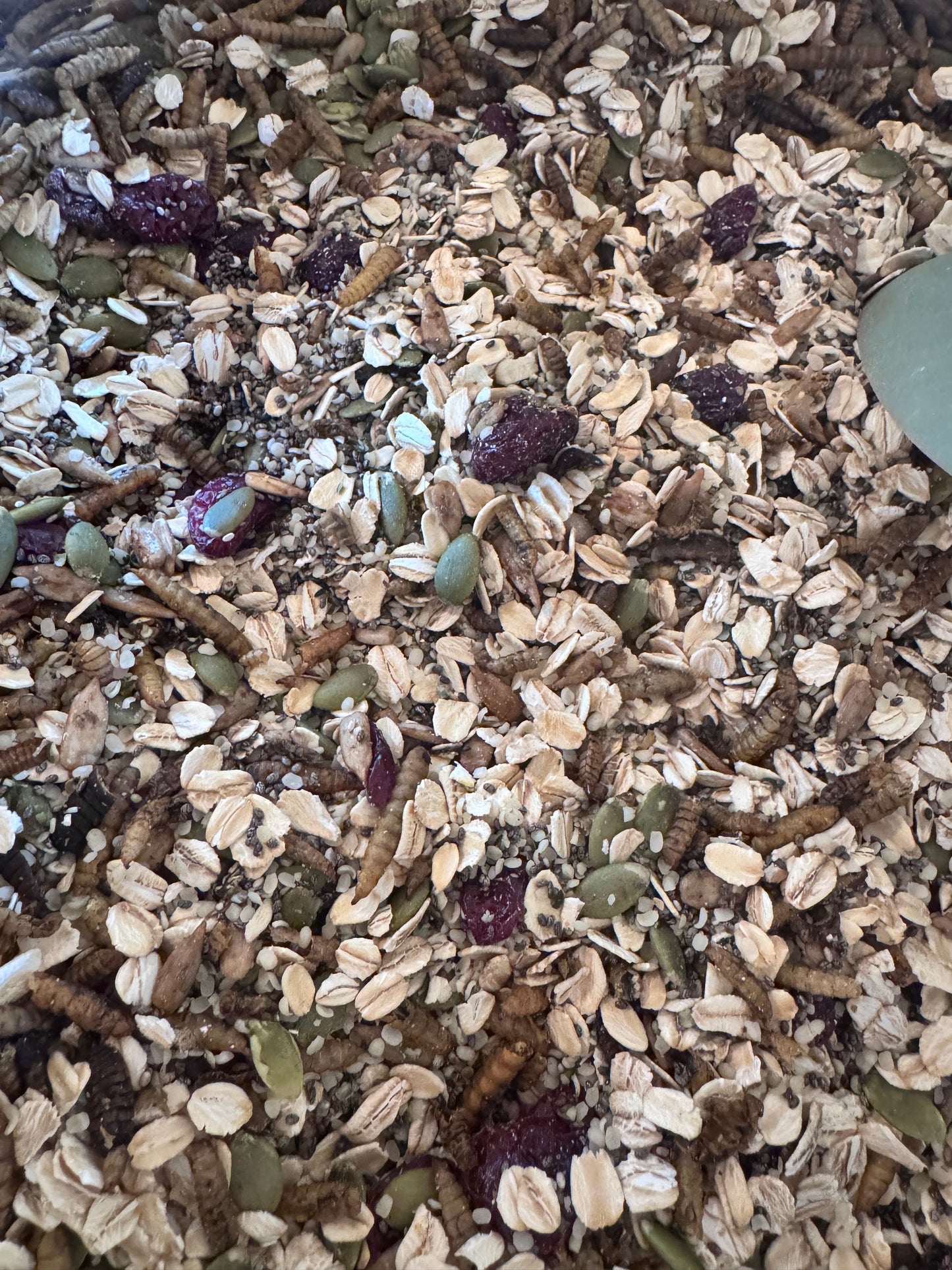 Moa Mana Trail Mix